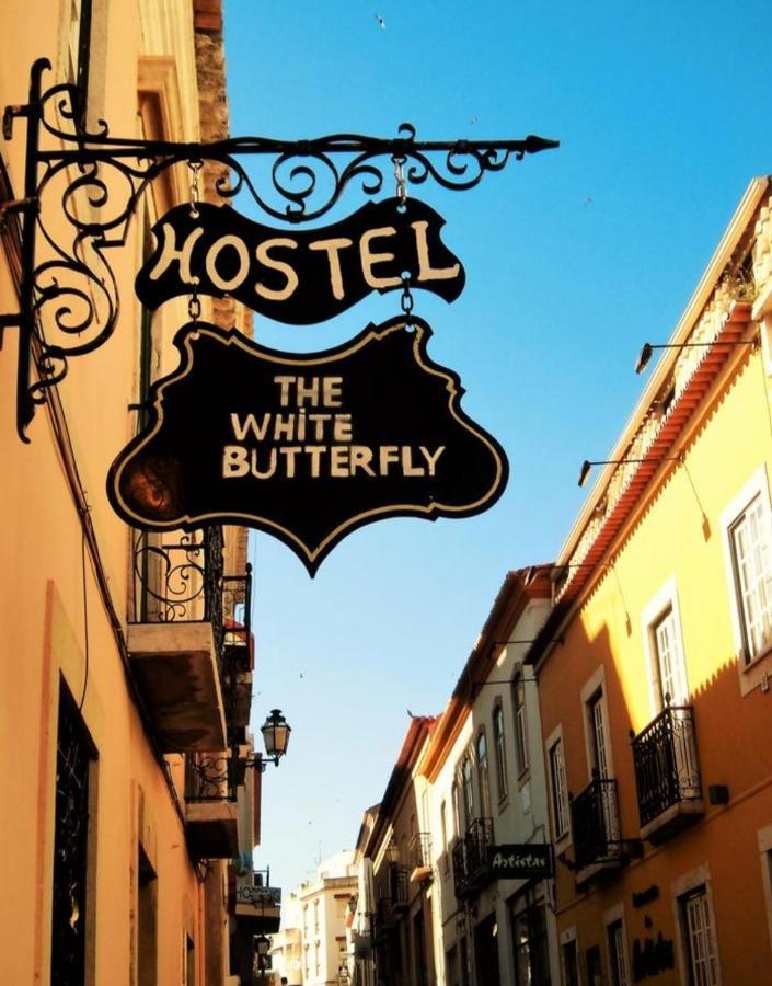 Hostal The White Butterfly *